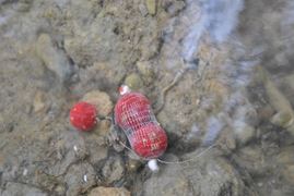 calitate produs+experienta=rezultat